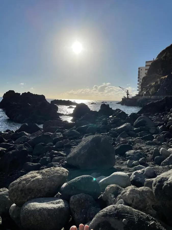 La Guanchita - Ocean Studio Tacoronte